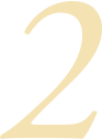 2. 幅広い症例への対応力