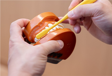 専用歯磨き粉の使用